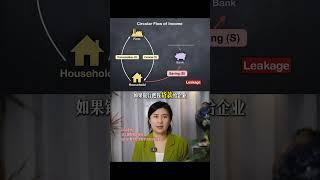 【Alevel经济】Circular Flow of Income收入循环模型详细讲解