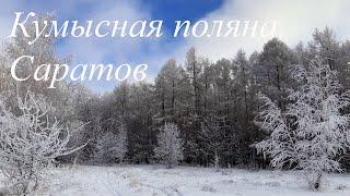 Зимний лес в 4к. Саратов. Кумысная поляна. Relax-видео | Winter forest. Saratov. Kumysnaya glade