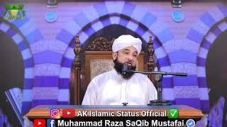 Ek Parinda Status | SaQib Raza Mustafai Whatsapp Status | Latest 2019 || AK Islamic Status Official