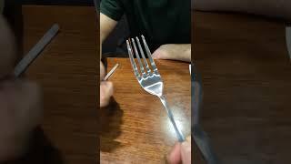 The Fight of Forks Before Visiting #Craiova | #shorts 