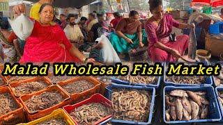 Malad Wholesale Fish Market | Malad Fish Market latest video️ | Cheapest Fish Market in Malad