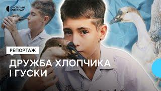 У миколаївській родині живе гуска Дуся - домашня улюблениця