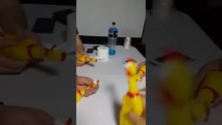 最狂電音趴 4隻尖叫雞完美Remix 雞雞之歌