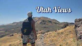 Finding Bison In Utah State Park