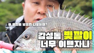 더팩트 36회- 마지막날_던지면 나와주는 포인트!