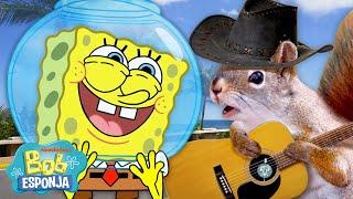 Bob Esponja sobre TIERRA FIRME durante 10 minutos | Bob Esponja en Español