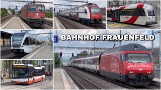 Züge beim Bahnhof Frauenfeld | Trains at Frauenfeld Station (2024)