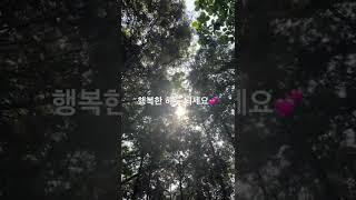 #인천 #논현동 #편백나무숲