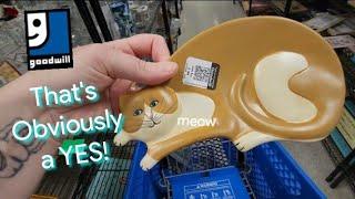 That's Obviously a YES! - Shop Along With Me - Goodwill Thrift Store