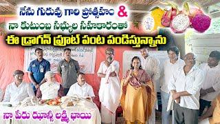 గురువు గారి ప్రోత్సహం & నా కుటుంబ సభ్యుల సహకారంతో డ్రాగన్ ఫ్రూట్ పండిస్తున్నాను||jhansi Lakshmi Bhai