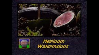 Heirloom Watermelons