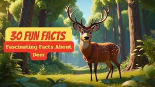 30 Fun Facts : Fascinating Facts About Deer