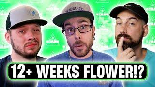 How To Grow Longer Flowering Strains! - From The Stash Podcast Ep. 136