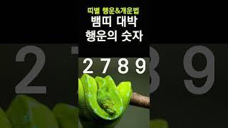 띠별로 보는 행운의 숫자! 뱀띠에게 돈복 터지는 숫자! 2024년 대박나는 뱀띠 행운의 숫자&컬러 #띠별운세, #행운의숫자, #행운의컬러, #신년운세, #갑진년운세,