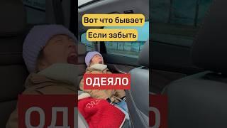 Вот что бывает если ЗАБЫТЬ ОДЕЯЛО 