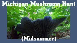 Michigan Mushroom Hunt In Midsummer