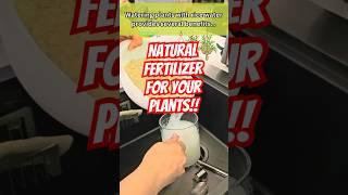 Your Plants Will Love This!