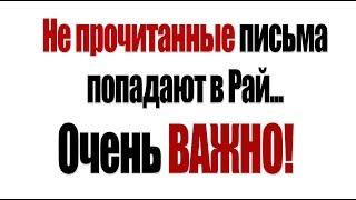 Чтобы письма не попадали в спам и не терялись сделайте это