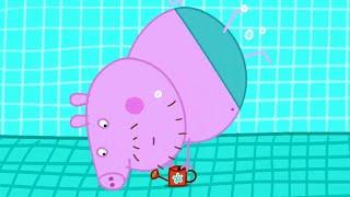 Peppa besucht das Schwimmbad | Cartoons für Kinder | Peppa Wutz Neue Folgen