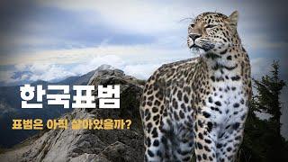 Korean Leopard History