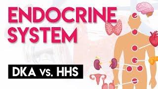 DKA vs HHS | Endocrine System (Part 4)