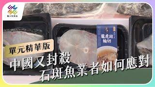 中國又封殺，石斑魚業者如何應對｜公視 #獨立特派員 單元精華