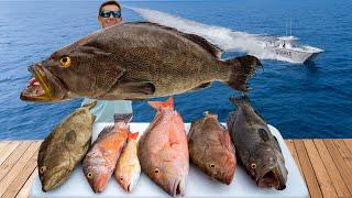 70 Miles OFFSHORE in America's BEST Fishery! Catch Clean Cook (Scamp Grouper)