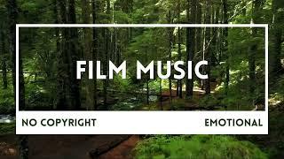 Michael Kobrin The Introvert  - Film Music (No Copyright)