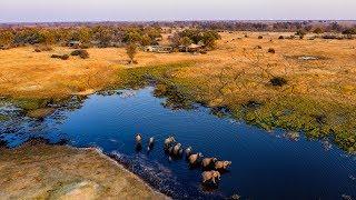 Tuludi Camp. A luxury Safari Lodge in the Okavango Delta. Botswana. Natural Selection Travel