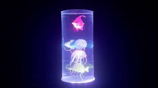 Aquarium Night Light, No Audio