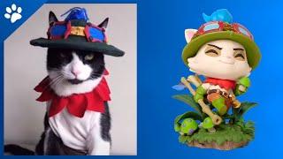 TEEMO - LOL - League of Legends - He is a CUTE CAT #Shorts