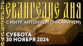 Толкование Евангелия с митр. Антонием (Паканичем). Суббота, 30 ноября 2024 года.