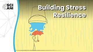 Building stress resilience