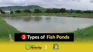 #3 Types of Fish Ponds || Fish Farming