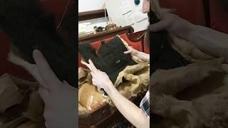 THIS is what was used as padding in an Antique 1900s Empire sofa!