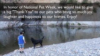 Happy National Pet Week 2018!