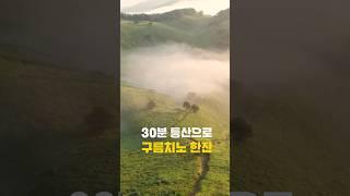 30분 등산후 일출에 구름치노 한잔 어때? #정선여행 #민둥산 #국내여행