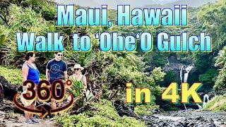 360° Maui, Hawaii - Walking to ‘Ohe‘O (Oheo) Gulch in Haleakalā National Park in 4K