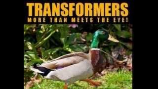 Transformer Ducks