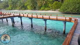 Kuramathi MALDIVES Resort |  FULL Resort HD TOUR | FHD Vlog Maldives