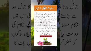 Rasool Allah (saw) Nay Farmaya#urdu #poetry #explore #viralvideo#youtubeshorts #Islamicwisdom381