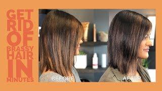 How To Get Rid Of Brassy Hair || Fanola No Orange Shampoo