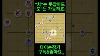 [쇼츠501] "차"는 못잡아도 "포"는 가능하죠! #shorts