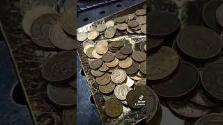 копилка золотая жила