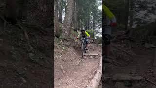 Wurzelpassage Alte statt Trail Bikepark Brandnertal