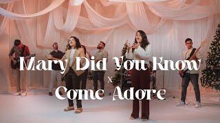 Mary Did You Know (Come Adore) - (Christmas Song) World Impact Worship