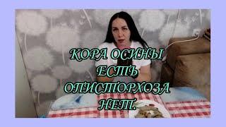 КАК Я ВЫЛЕЧИЛА ОПИСТОРХОЗ КОРОЙ ОСИНЫ