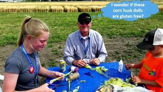 Kenny Crack Corn: Dryland Grain Corn Research in Southern Alberta - Farming Smarter Conference 2017