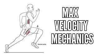 How to Sprint Faster: Sprinting Technique & Running Mechanics