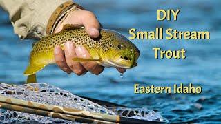 DIY Small Stream Trout - Eastern Idaho